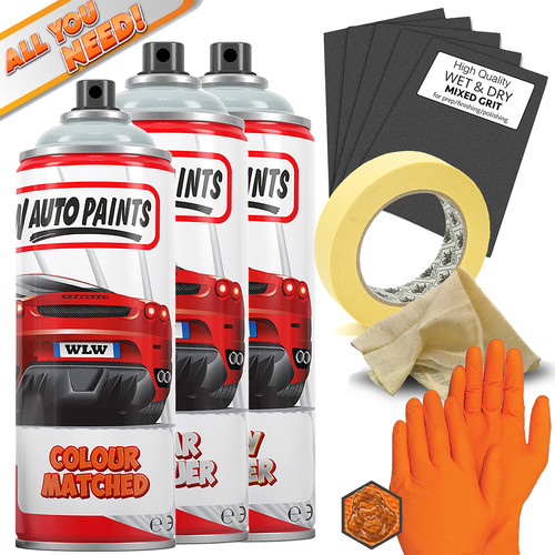 Aerosol spray paint - spray, for