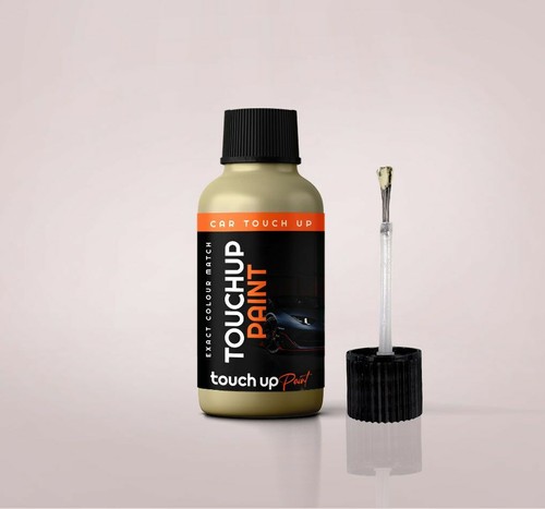 Touch paint for - paint, fiat